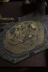 Vintage Intestine Lower Abdominal Region Engraved Printing plate-Anatomy Boutique-Anatomy Boutique
