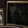 Foiled Anatomy Print - Skull-Anatomy Boutique-Anatomy Boutique