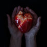 AB X EDIBLE MUSEUM - Chocolate Heart-Anatomy Boutique-Anatomy Boutique