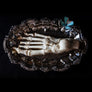 Antique human teaching bone - Foot-Anatomy Boutique-Anatomy Boutique
