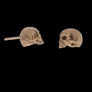AB X IOANNA LIBERTA skull earrings-Anatomy Boutique-Anatomy Boutique