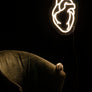 Anatomical LED Neon Warm White Heart-Anatomy Boutique-Anatomy Boutique