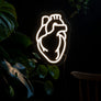 Anatomical LED Neon Warm White Heart-Anatomy Boutique-Anatomy Boutique