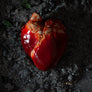 AB X EDIBLE MUSEUM - Chocolate Heart-Anatomy Boutique-Anatomy Boutique