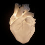 AB X DASH OF CURIOSITY - Glow Pendant Heart Light-Anatomy Boutique-Anatomy Boutique