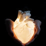 AB X DASH OF CURIOSITY - Glow Pendant Heart Light-Anatomy Boutique-Anatomy Boutique