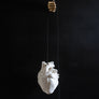 AB X DASH OF CURIOSITY - Glow Pendant Heart Light-Anatomy Boutique-Anatomy Boutique