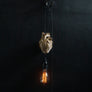 AB X DASH OF CURIOSITY - Heart Pendant light fixture - Gold-Anatomy Boutique-Anatomy Boutique