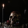 AB X CONJURER'S KITCHEN Dark Chocolate Skull - GOLD [used for photoshoot]-Anatomy Boutique-Anatomy Boutique