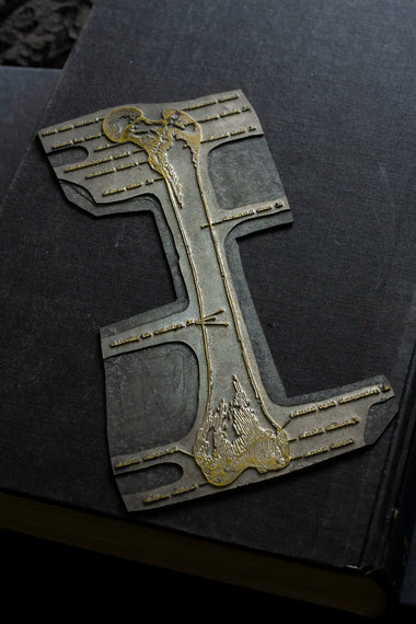 Vintage Femur Bone Leg Engraved Printing Plate-Anatomy Boutique-Anatomy Boutique