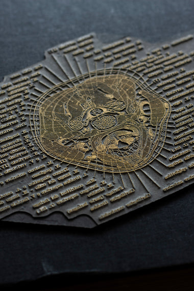 Vintage Neck Cervical Engraved Printing Plate-Anatomy Boutique-Anatomy Boutique