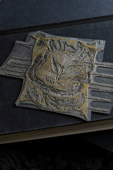 Vintage Colon Abdominal Region Engraved Printing plate-Anatomy Boutique-Anatomy Boutique