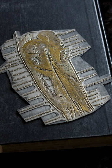 Vintage Thigh Muscles Engraved Printing plate-Anatomy Boutique-Anatomy Boutique