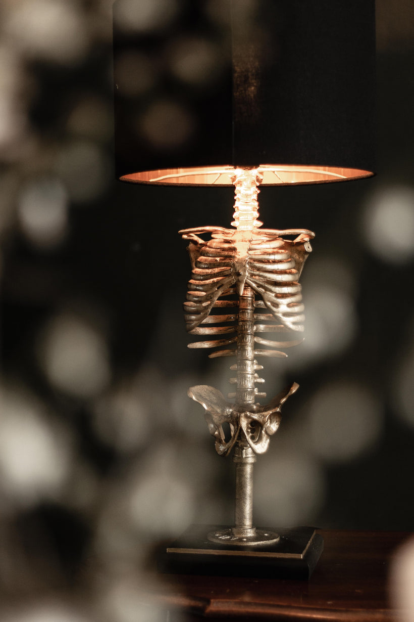 AB X BLACKENED TEETH - Skeleton Lamp