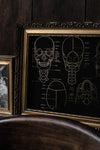 Foiled Anatomy Print - Skull-Anatomy Boutique-Anatomy Boutique