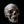 Antique human teaching bone - Skull-Anatomy Boutique-Anatomy Boutique