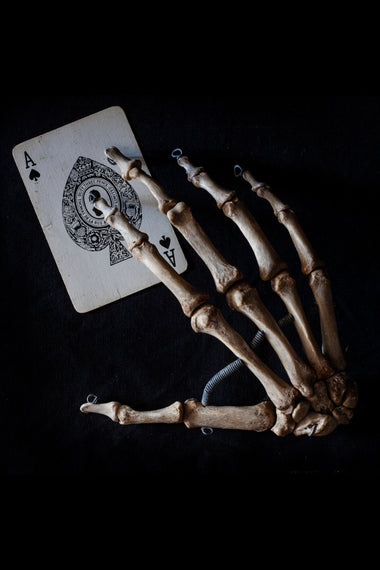 Antique human teaching bone - Hand-Anatomy Boutique-Anatomy Boutique