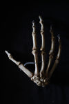 Antique human teaching bone - Hand-Anatomy Boutique-Anatomy Boutique