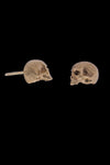 AB X IOANNA LIBERTA skull earrings-Anatomy Boutique-Anatomy Boutique
