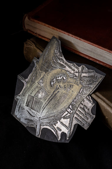 Vintage Engraved Printing plate - Kidney Surgery-Anatomy Boutique-Anatomy Boutique