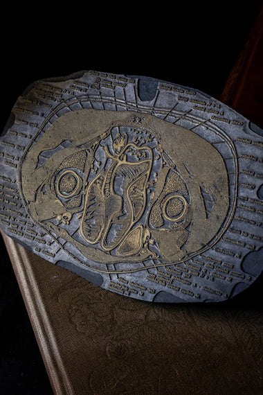 Vintage Engraved Printing plate - Transverse lower abdomen-Anatomy Boutique-Anatomy Boutique