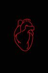 Neon Anatomical Heart-Anatomy Boutique-Anatomy Boutique