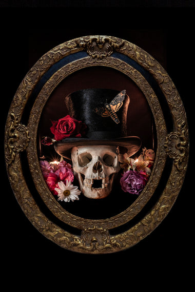 Antique human teaching bone - Skull-Anatomy Boutique-Anatomy Boutique