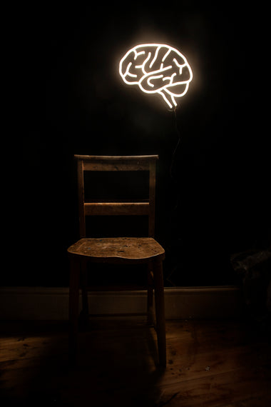 Anatomical LED Neon Warm White Brain-Anatomy Boutique-Anatomy Boutique