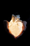 AB X DASH OF CURIOSITY - Glow Pendant Heart Light-Anatomy Boutique-Anatomy Boutique