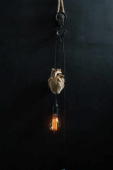 AB X DASH OF CURIOSITY - Heart Pendant light fixture - Gold-Anatomy Boutique-Anatomy Boutique