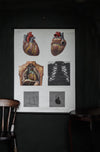 Vintage Anatomical Chart - Dresden: The Heart-Anatomy Boutique-Anatomy Boutique